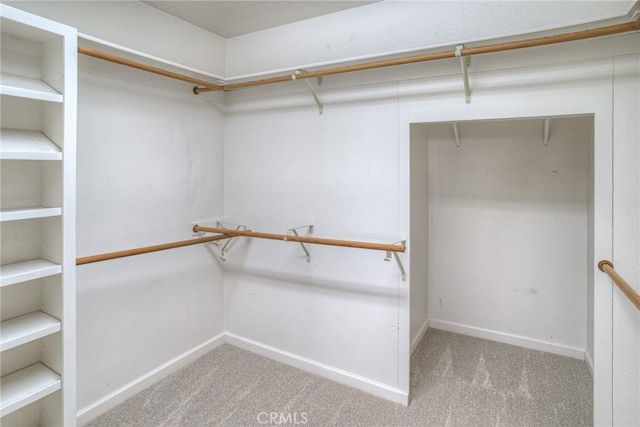spacious closet featuring carpet