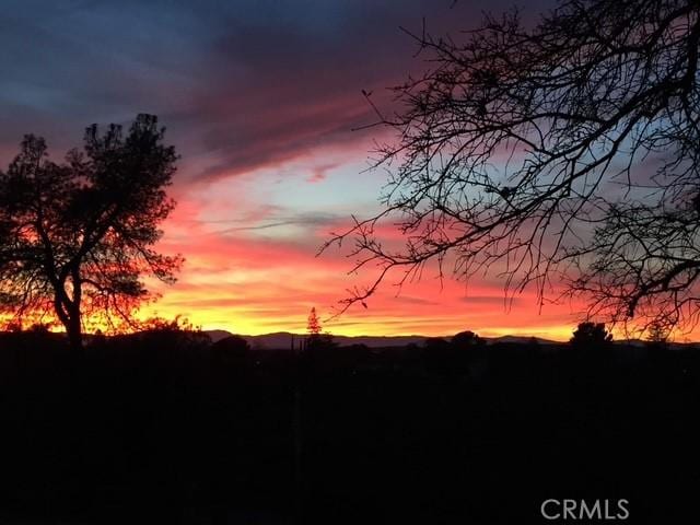view of nature at dusk
