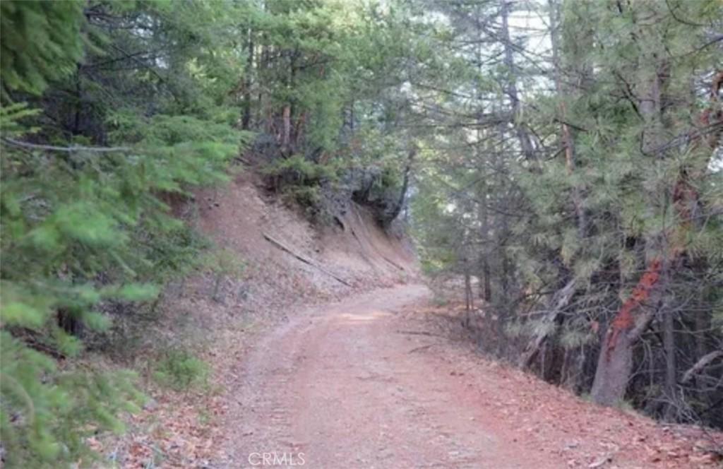 34500 Etsel Ridge Rd, Covelo, CA 95428 - photo 1