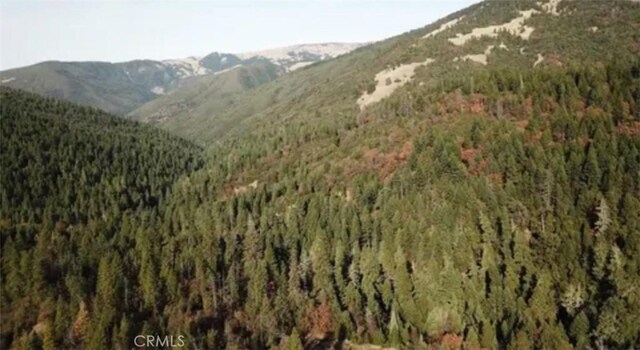 34500 Etsel Ridge Rd, Covelo, CA 95428 - photo 3
