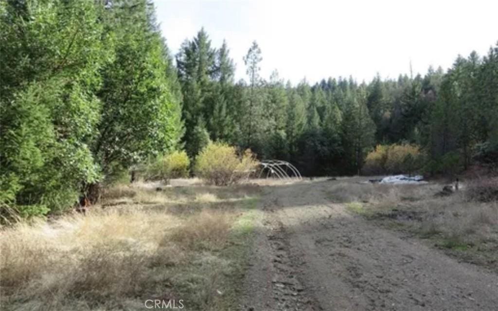 34500 Etsel Ridge Rd, Covelo, CA 95428 - photo 2