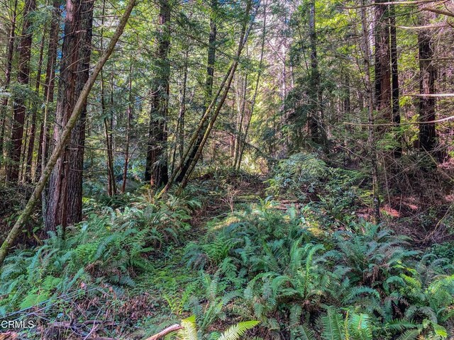 15137 Mitchell Creek Dr, Fort Bragg, CA 95437 - photo 24