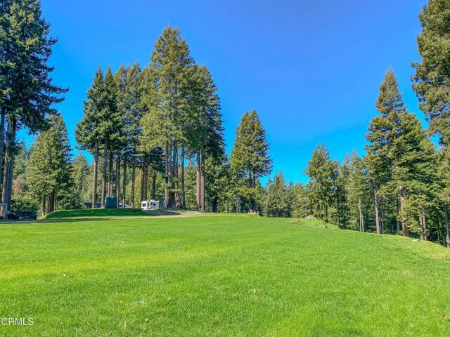 15137 Mitchell Creek Dr, Fort Bragg, CA 95437 - photo 39