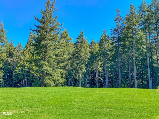 15137 Mitchell Creek Dr, Fort Bragg, CA 95437 - photo 14