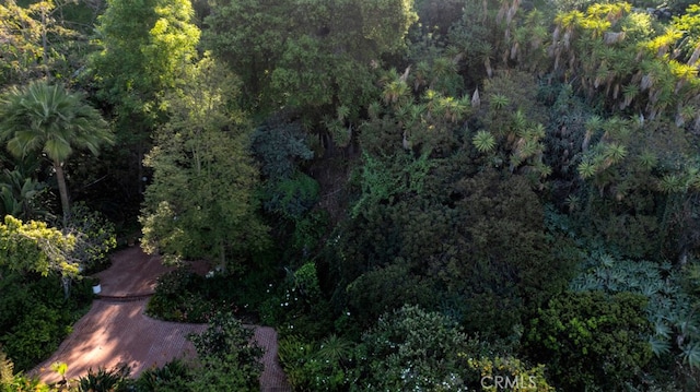 drone / aerial view with a view of trees