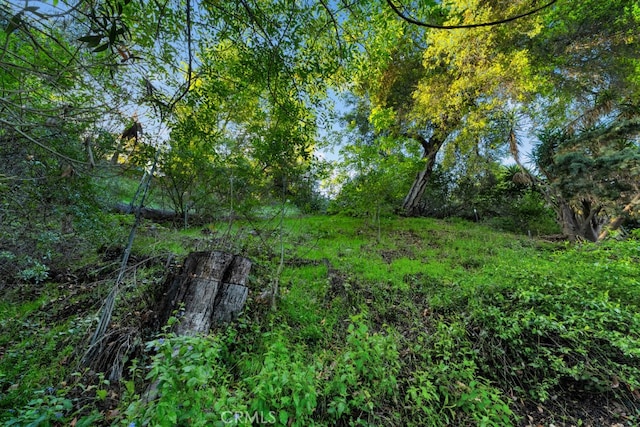 view of landscape