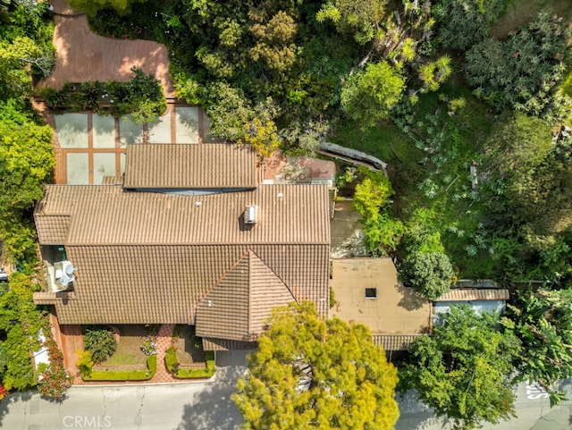 aerial view