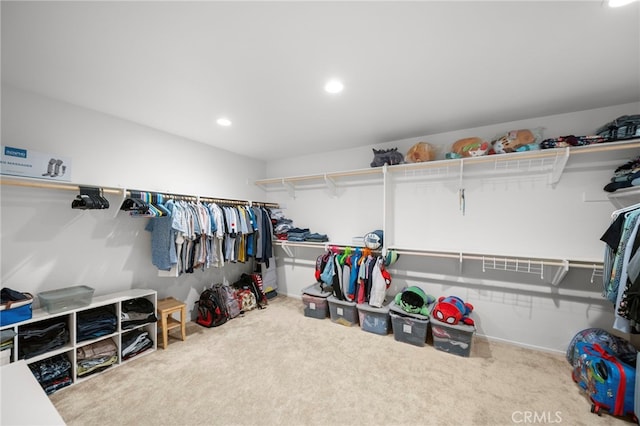 spacious closet featuring carpet flooring