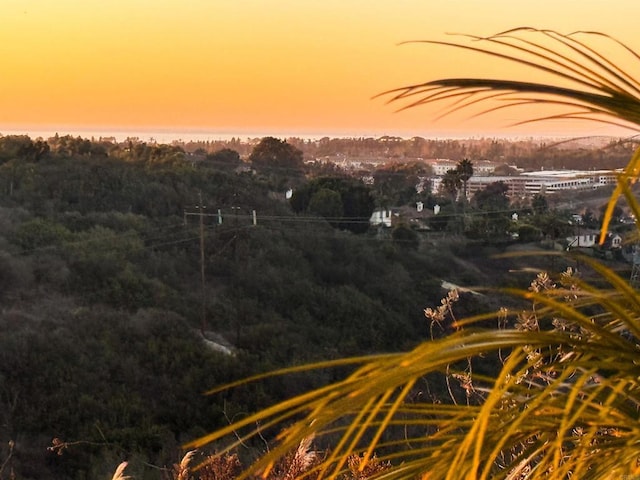 6497 Wayfinders Ct, Carlsbad, CA 92011 - view of nature at dusk