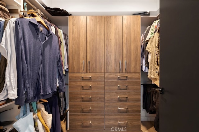 view of walk in closet
