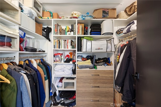 view of walk in closet