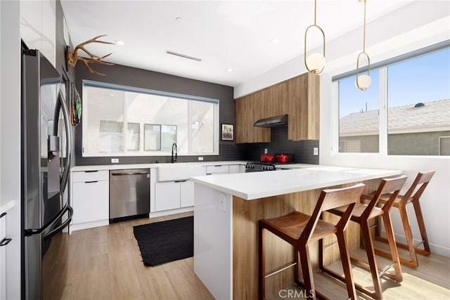 kitchen with a sink, range hood, tasteful backsplash, modern cabinets, and stainless steel appliances