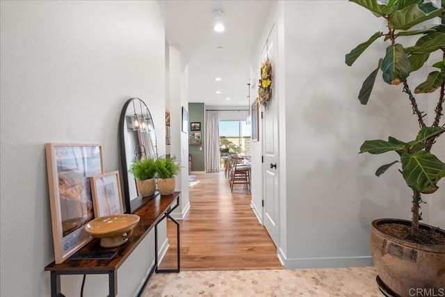 hall with light wood finished floors