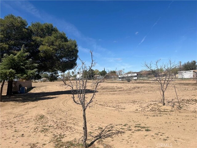 11644 Hickory Ave, Hesperia, CA 92345 - photo 4