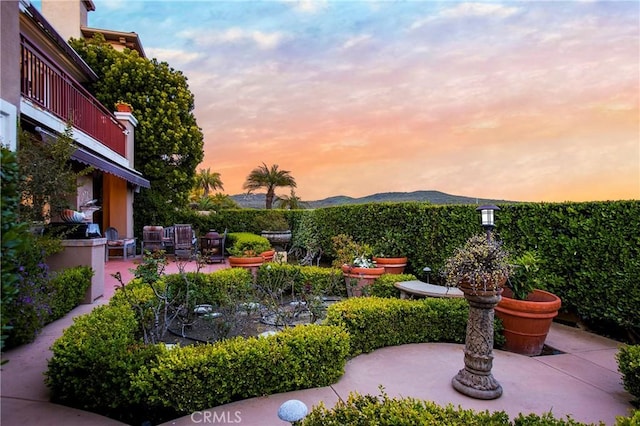 view of yard with a patio area and a mountain view
