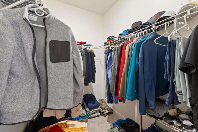 spacious closet featuring carpet