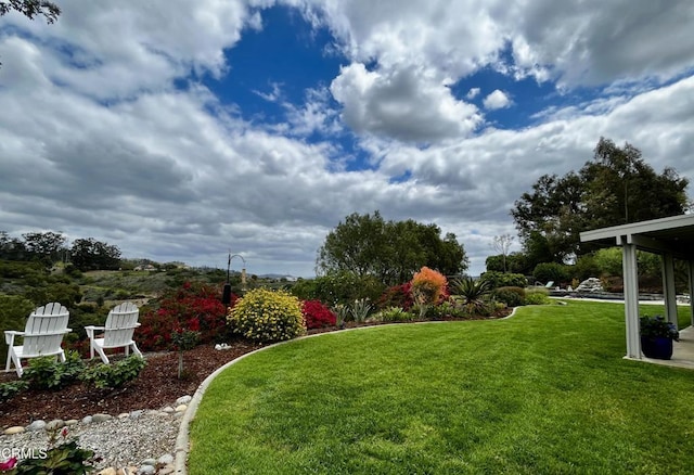 view of yard