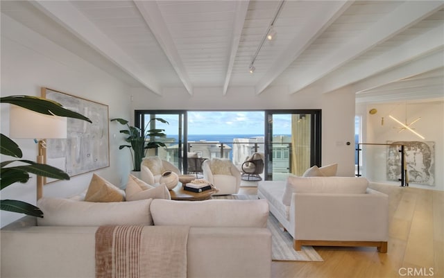 2604 Victoria Dr, Laguna Beach, CA 92651 - living room featuring wood finished floors, beamed ceiling, and track lighting