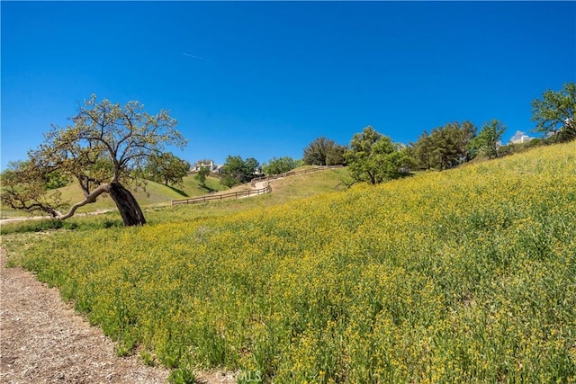 view of nature with a rural view
