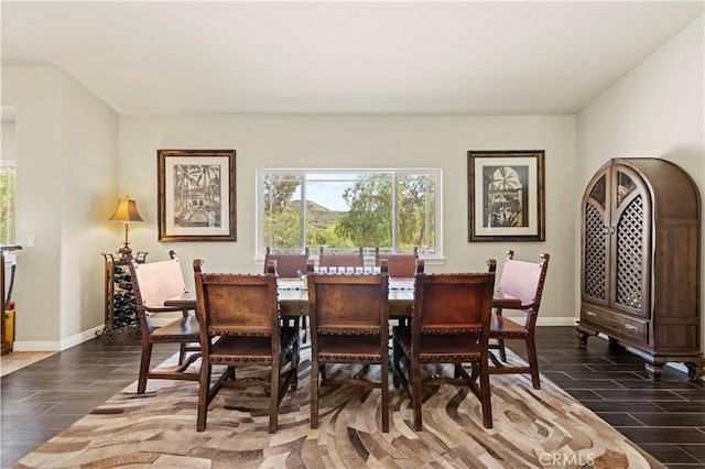 dining room with baseboards, wood finish floors, and a wealth of natural light