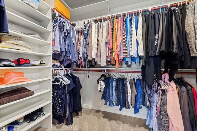 spacious closet featuring carpet