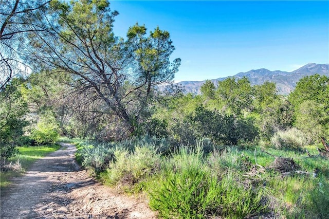 9 Las Piedras, Rancho Santa Margarita, CA 92688 - property view of mountains with a forest view