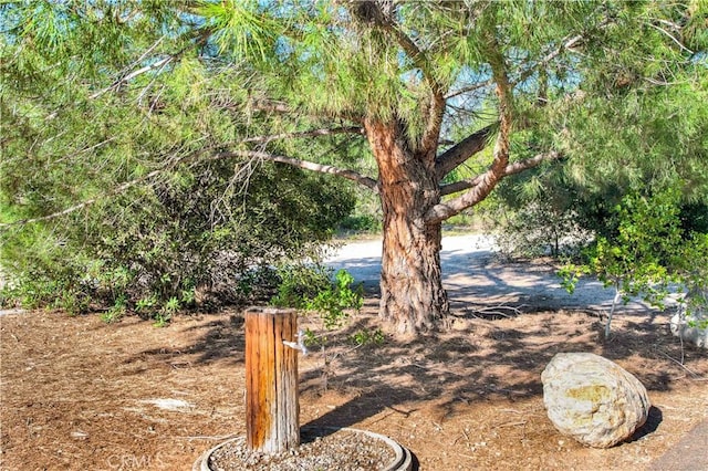 9 Las Piedras, Rancho Santa Margarita, CA 92688 - view of yard