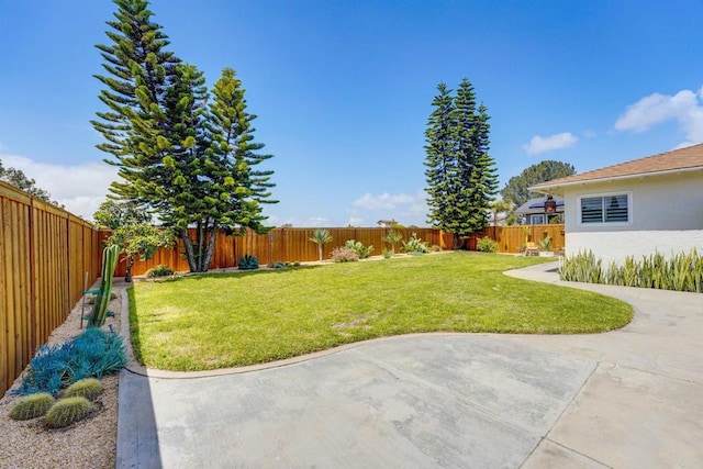 view of yard with a fenced backyard and a patio area