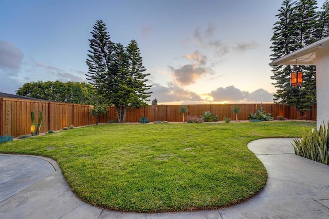 view of yard featuring a fenced backyard