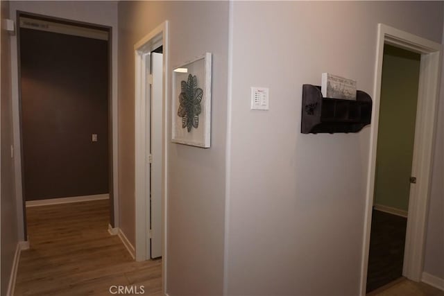 34539 Velvetleaf St, Winchester, CA 92596 - corridor with light wood finished floors and baseboards