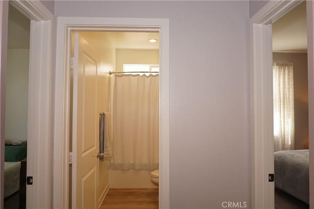 34539 Velvetleaf St, Winchester, CA 92596 - corridor featuring wood finished floors