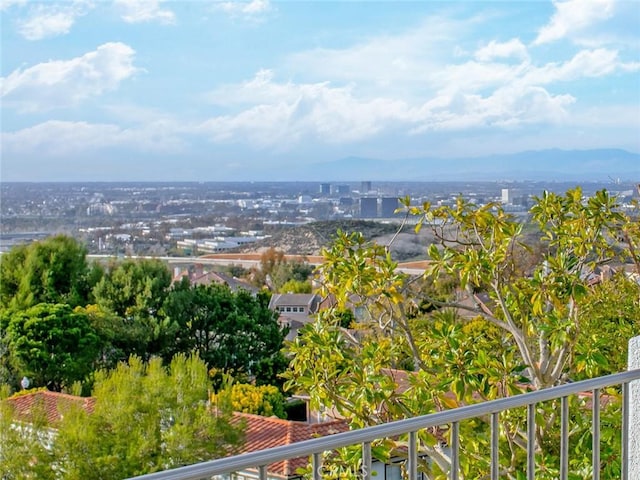 23 Lemans, Newport Coast, CA 92657 - photo 37