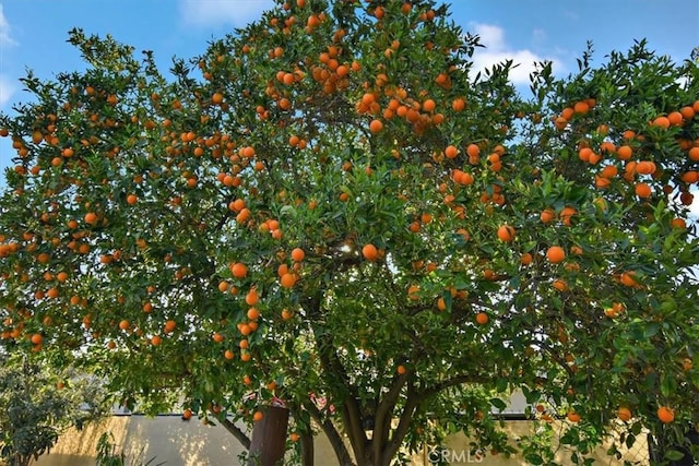 view of nature