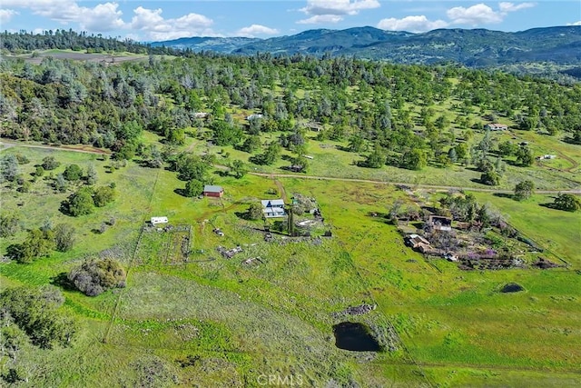 drone / aerial view featuring a mountain view and a view of trees
