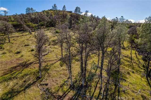 23523 Morgan Valley Rd, Lower Lake, CA 95457 - photo 17