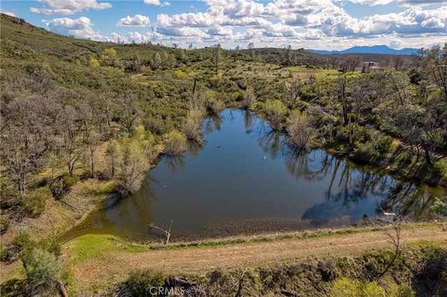 23523 Morgan Valley Rd, Lower Lake, CA 95457 - photo 27
