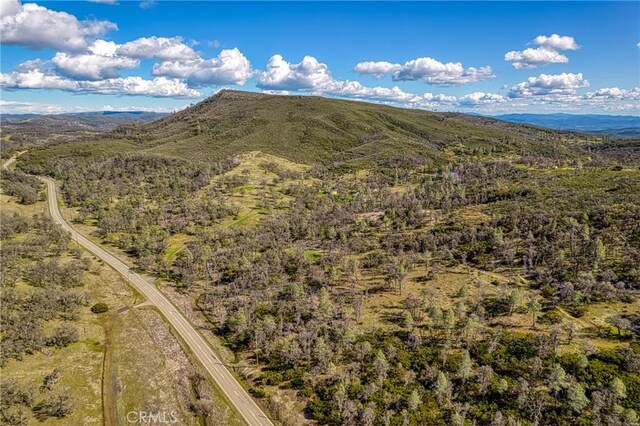 23523 Morgan Valley Rd, Lower Lake, CA 95457 - photo 44