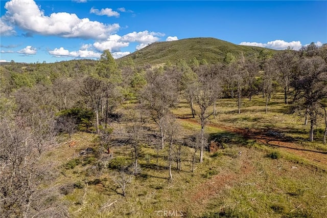 23523 Morgan Valley Rd, Lower Lake, CA 95457 - photo 19