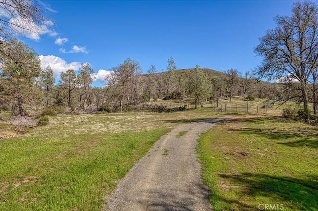 23523 Morgan Valley Rd, Lower Lake, CA 95457 - photo 41