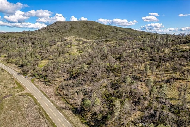 23523 Morgan Valley Rd, Lower Lake, CA 95457 - photo 21