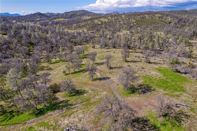 23523 Morgan Valley Rd, Lower Lake, CA 95457 - photo 30