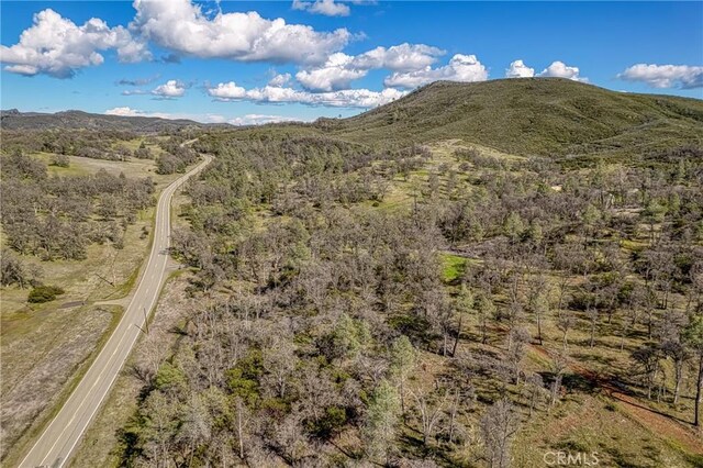 23523 Morgan Valley Rd, Lower Lake, CA 95457 - photo 20