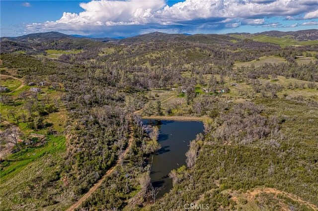 23523 Morgan Valley Rd, Lower Lake, CA 95457 - photo 25