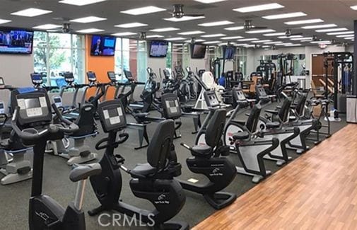 workout area with a drop ceiling and wood finished floors