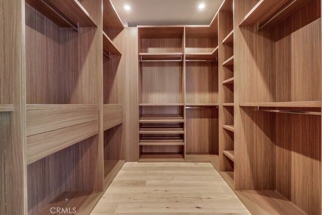737 N Cherokee Ave, Los Angeles, CA 90038 - view of walk in closet