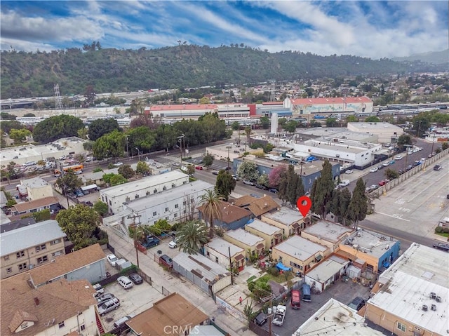 2626 Idell St, Los Angeles, CA 90065 - photo 15