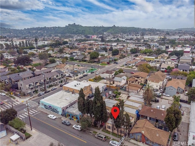 2626 Idell St, Los Angeles, CA 90065 - photo 18