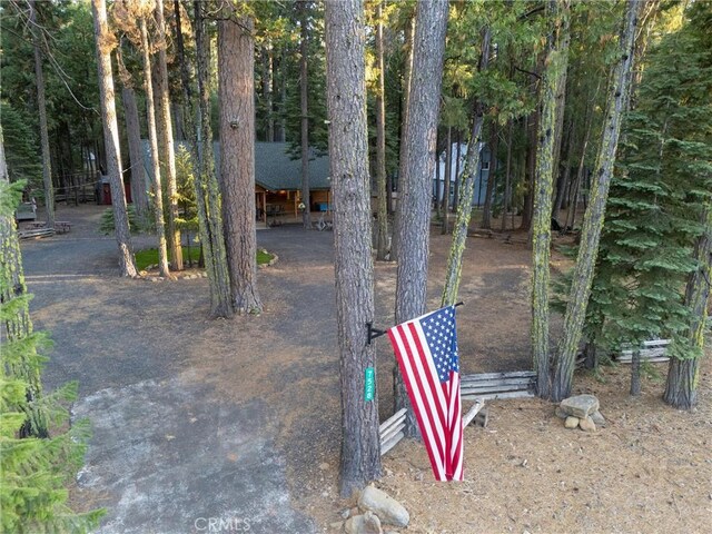 7528 Humboldt Rd, Butte Meadows, CA 95942 - view of yard