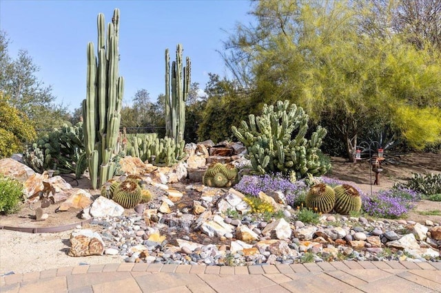 16270 Pauma Valley Dr, Pauma Valley, CA 92061 - view of yard