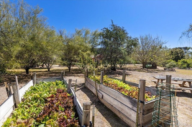 16270 Pauma Valley Dr, Pauma Valley, CA 92061 - surrounding community featuring a vegetable garden